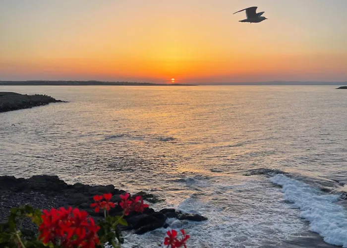 Amara Santa Marina, *